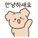 에이스서프 이미지