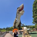 🦖고성 공룡EXPO go~go~🦕 이미지