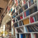 [수서2] 통기타 (초급) | 사서 생존 매뉴얼 2편: 시스템에 소모되지 않는 '사서의 영리한 생존법'