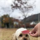 다우리유치원 이미지