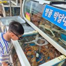 영덕대게 | [영덕 강구항 맛집] 독도수산 영덕대게 먹방 후기