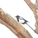 달성공원 이미지