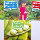 리더스과학 이미지