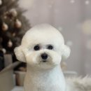 관저남로 네이버블로그