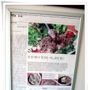 주문진메밀막국수 이미지