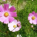 유튜브 크리에이터 이미지