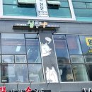 심쿵냥 고양이분양 이미지