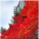 소문행정사사무소 이미지