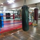 제일체육관 이미지