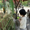 물새바람펜션 | 아이와 가평 여행 필수코스! 아침고요 가족동물원 후기 + 방문 꿀팁