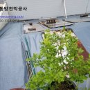 서울천막사 이미지