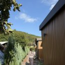 리틀 타이니 하우스 이미지