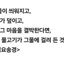 6월21일 오늘은 일년중 하루해가 제일 긴 하지입니다 이미지