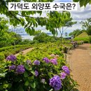 부산 강서구 가덕도 외양포 수국 올해는 비추, 외양포 일본군 포진지, 외양포 동네 한 바퀴 생생후기