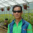 주상완대 이미지