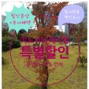 이노시티 이미지