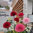 덕양행신종합사회복지관 | 행사 포토존 설치 - 고양시덕양행신 종합사회복지관 어버이날 포토존