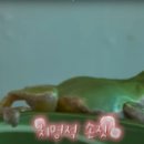 금순이농장 이미지