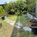 고림중학교 이미지