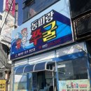 통영 동피랑쭈굴 내돈내산 솔직후기