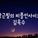 피플인사이트 네이버블로그
