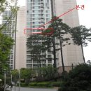 석촌호수로133 이미지