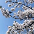 외계인키친 이미지