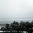 죽변비취모텔 이미지
