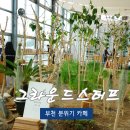 댕댕랜드 이미지