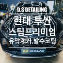 디에스디테일링 - 남구 신선로 172 | 디에스디테일링