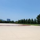상주시생활체육공원 인라인장 | 15분도시 부산 화명생태공원 인라인스케이트장 방문 후기
