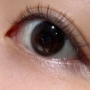 경기도 수원시 팔달구 효원로193번길 11 (인계동) | 수원속눈썹연장,인계동속눈썹 “미니모”1인샵 속눈썹연장 후기