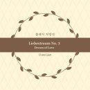 꿈속에서 | [Rx. 114] 낭만적인 클래식 추천: 꿈속에서 만나는 그리운 사랑, 리스트 '사랑의 꿈' (위로의 음악)