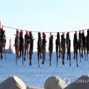 하루byH 이미지