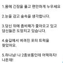 면허 1종 보통 딴 거 후회하지 않는 방법 이미지