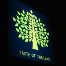 [이태원 맛집] 내사랑 똠양꿍 - Taste of Thailand(태국의 맛?)