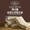 레스트 이미지
