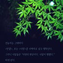 성삼이네 이미지