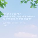 [순진한 멧밭쥐] 몽구는 바보야....ㅠㅠ 청설모 아저씨에게서 돔황챠...!!! 이미지