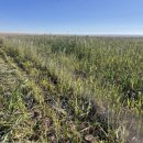 건초사료 이미지