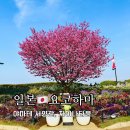 만두 0023 | 요코하마여행 가볼만한곳 야마테 서양관 차이나타운 맛집