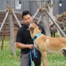 주식회사 보듬컴퍼니 이미지