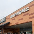 제일로유치원 | [전남/함평]함평나비축제 주차·입장료·먹거리까지 직접 다녀온 리얼 꿀팁