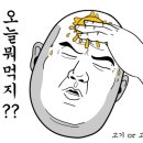 피트샾 이미지