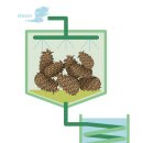 파인피드 이미지