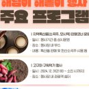 2025 해돋이 행사 이미지