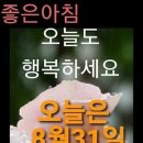 8월의 마지막날 이미지