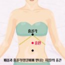 시솔