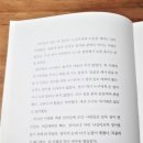 최지물포