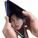 소리나팔꽃 | 서울은 춥담서. 여긴 하나도 안 추워^^ in Busan (++ 아뇨 님들아 추워요 춥더라고)